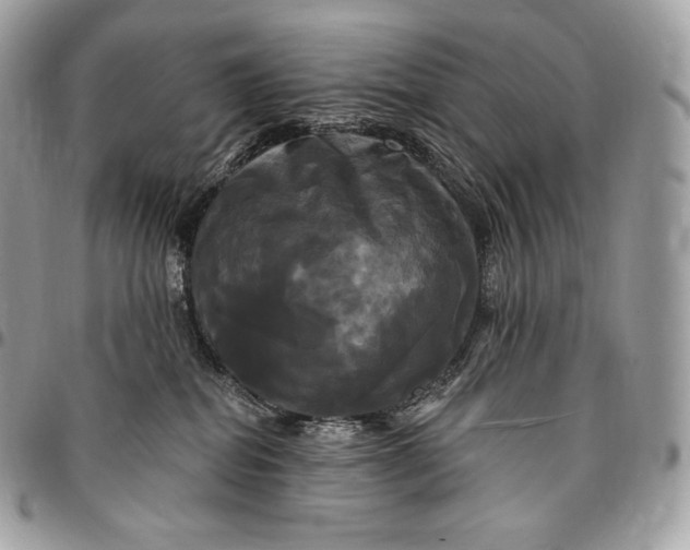 X0000095110282200712211327