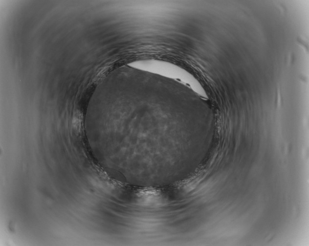 X0000095110283200712211327