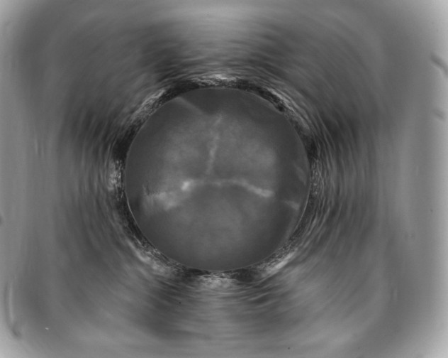 X0000095110284200712211327