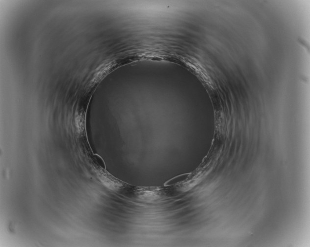 X0000095110285200712211327