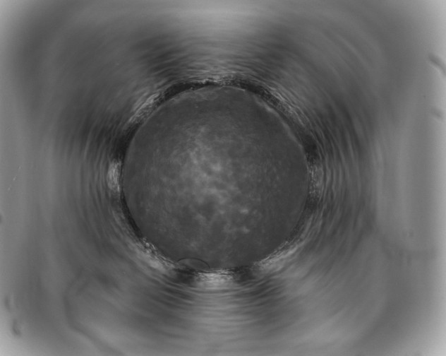 X0000095110286200712211327