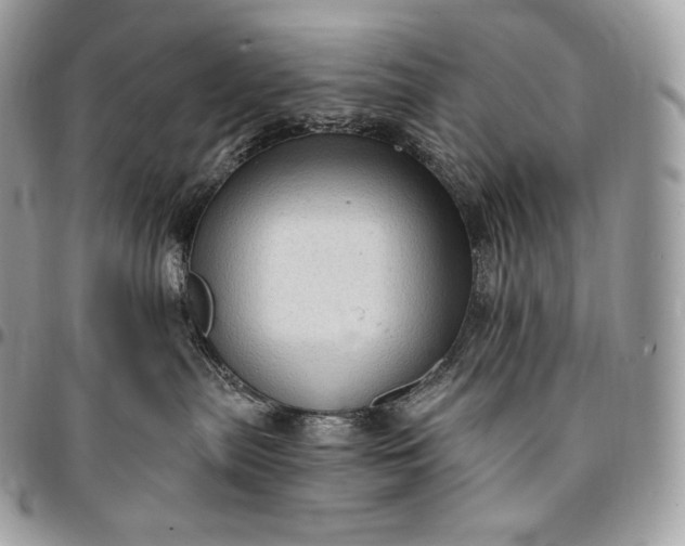 X0000095110287200712211327