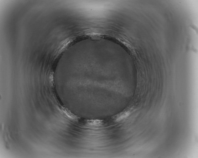 X0000095110288200712211327