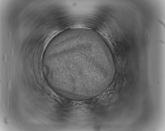 X0000095110289200712211327