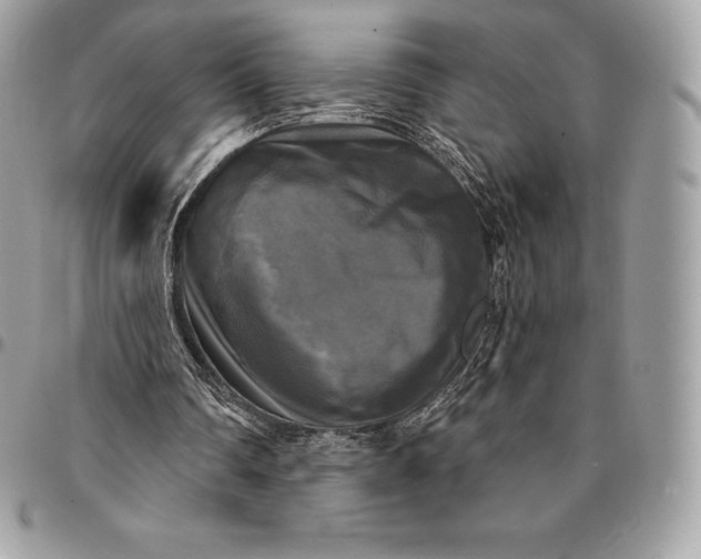 X0000095110290200712211327