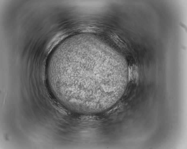 X0000095110291200712211327