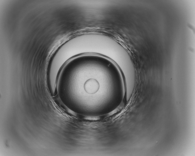 X0000095110293200712211327