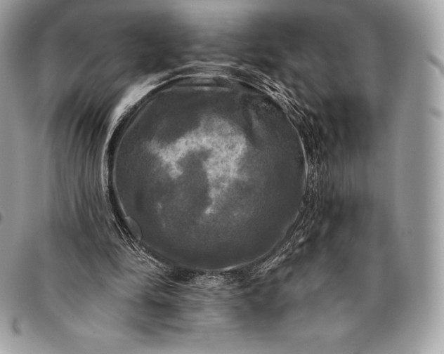 X0000095110294200712211327