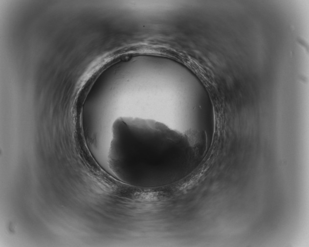 X0000095110295200712211327