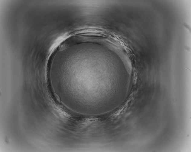 X0000095110296200712211327