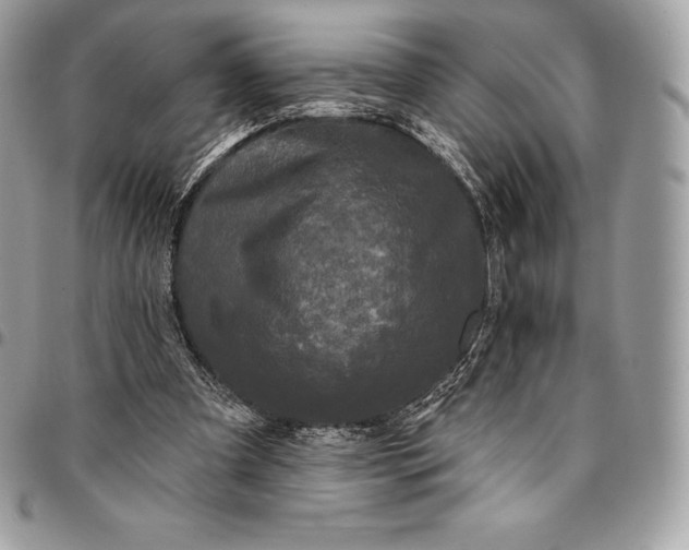 X0000095110297200712211327