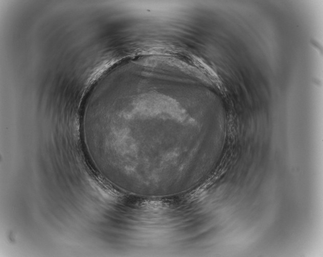 X0000095110298200712211327