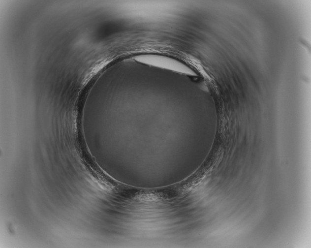 X0000095110299200712211327