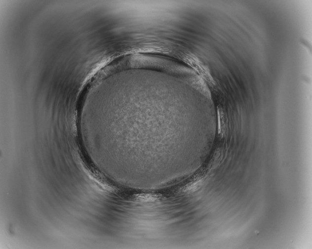 X0000095110300200712211327