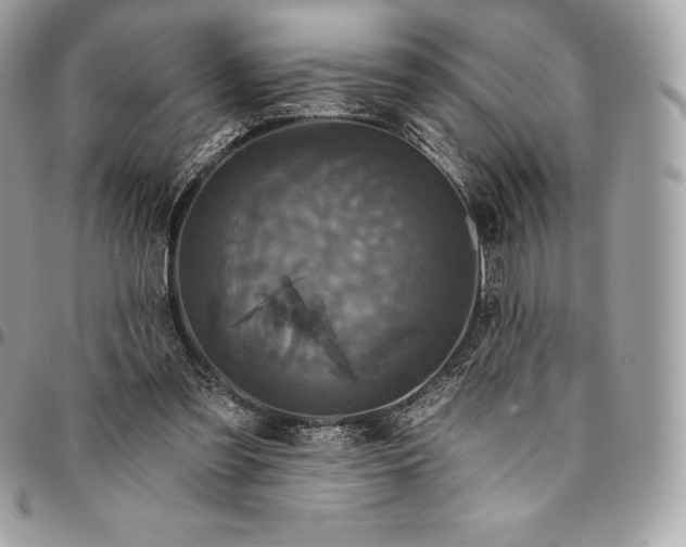 X0000095110301200712211327