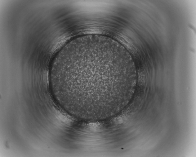 X0000095110302200712211327