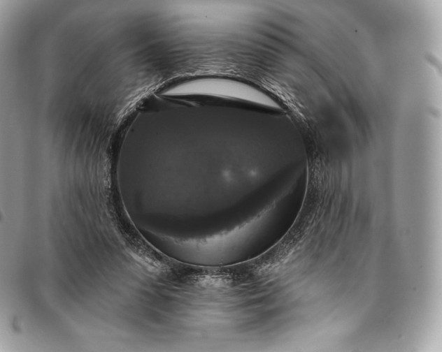 X0000095110303200712211327