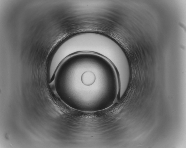 X0000095110304200712211327