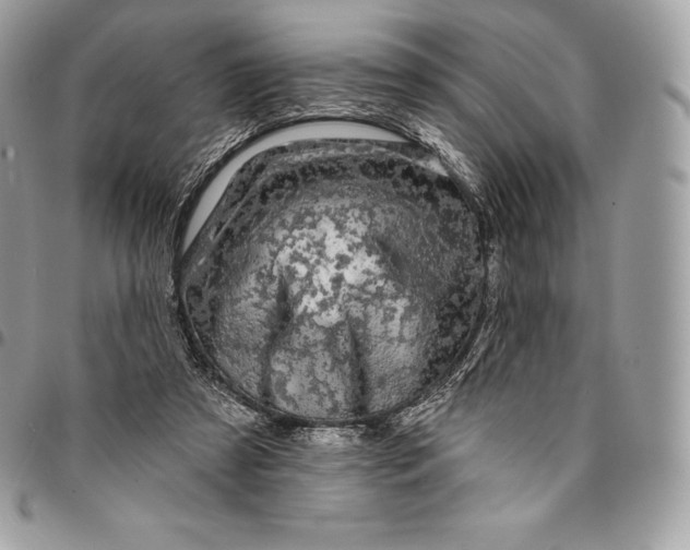 X0000095110305200712211327