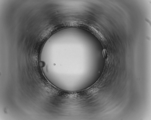 X0000095110306200712211327