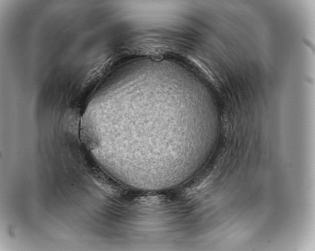 X0000095110307200712211327