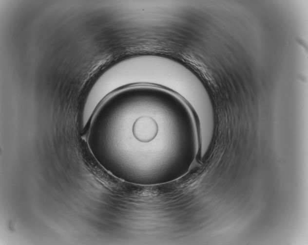 X0000095110308200712211327