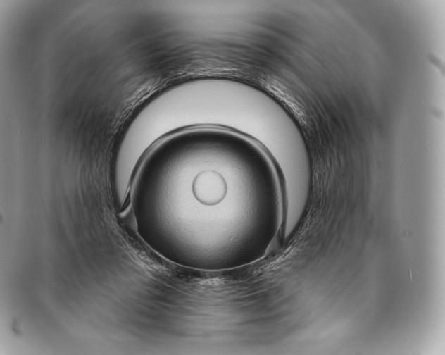 X0000095110309200712211327