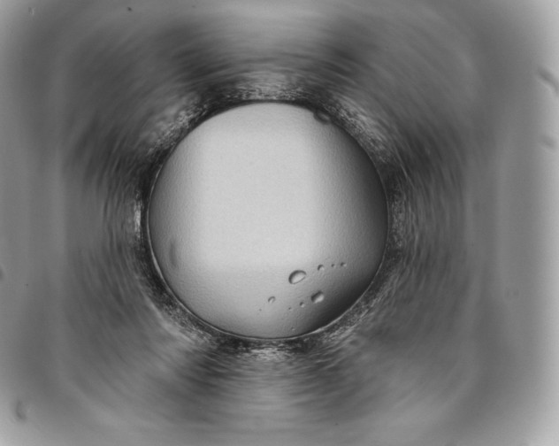 X0000095110310200712211326