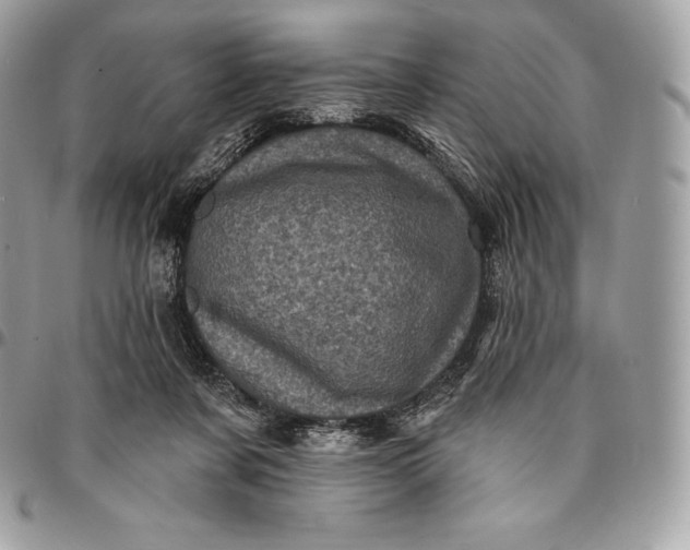 X0000095110311200712211326