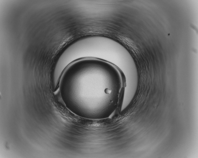 X0000095110312200712211326