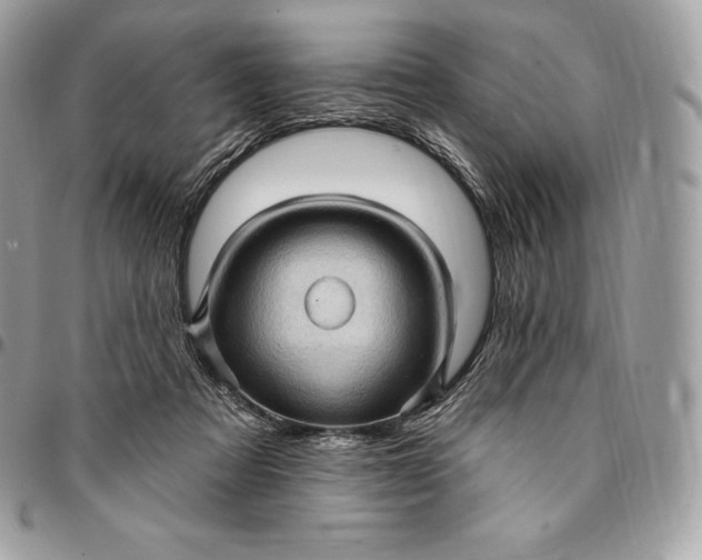 X0000095110313200712211326