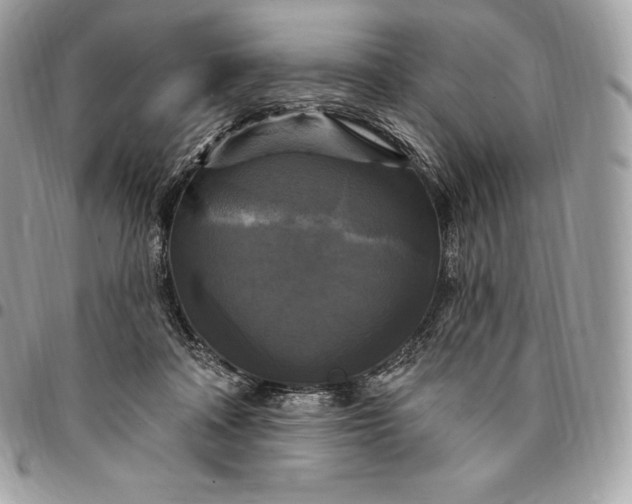 X0000095110314200712211326