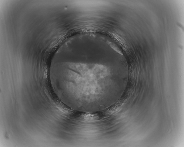 X0000095110315200712211326