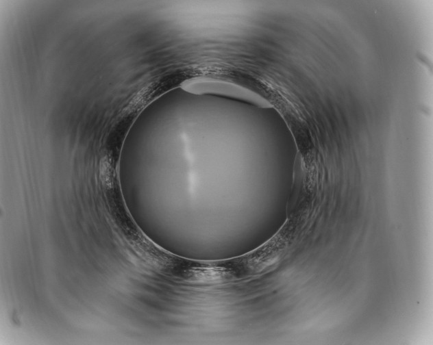 X0000095110316200712211326