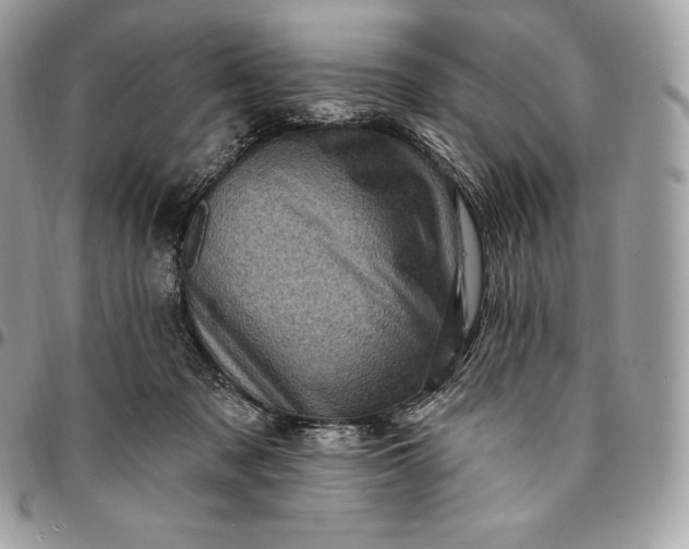 X0000095110317200712211326