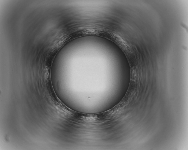 X0000095110318200712211326