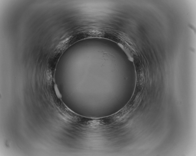 X0000095110320200712211326