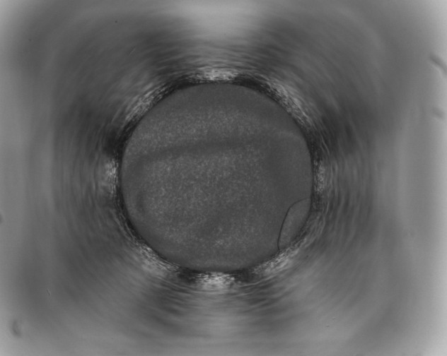 X0000095110321200712211326