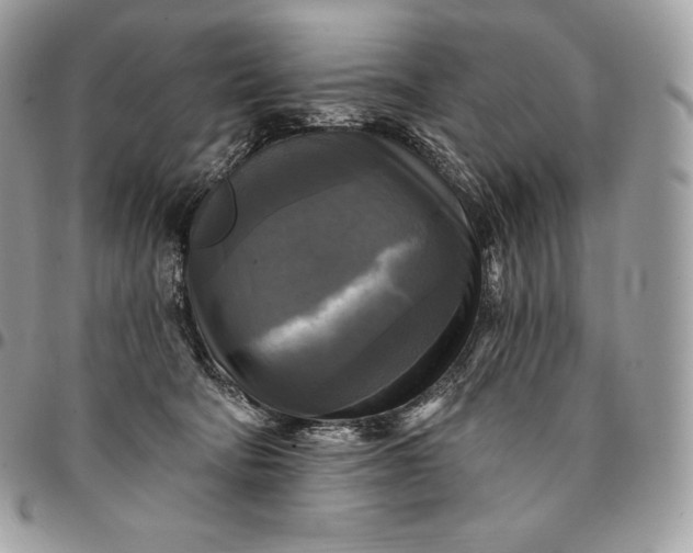 X0000095110322200712211326