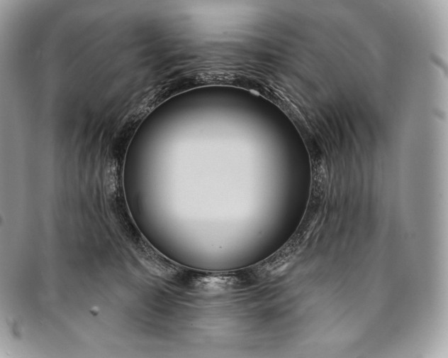 X0000095110323200712211326