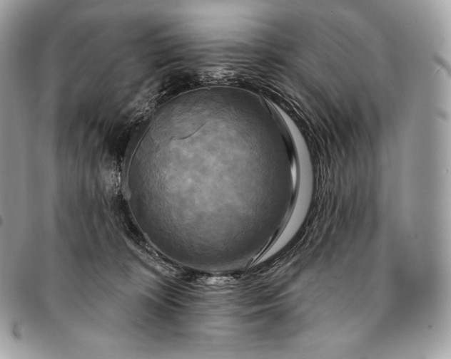 X0000095110324200712211326