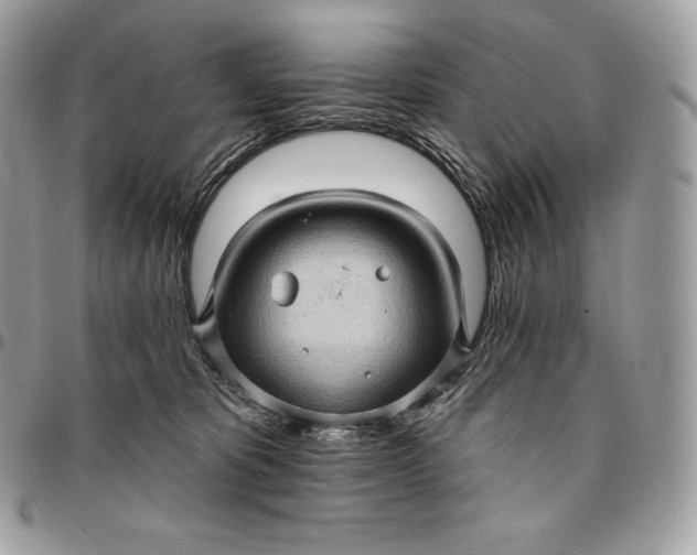 X0000095110325200712211326