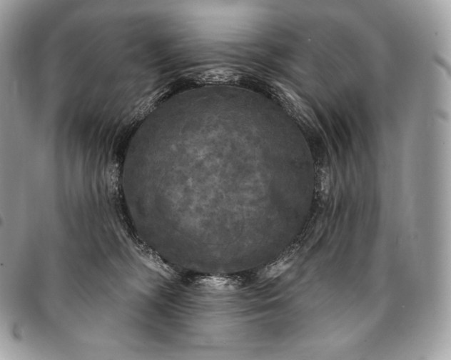 X0000095110326200712211326