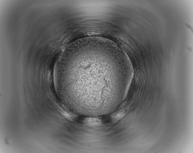 X0000095110327200712211326