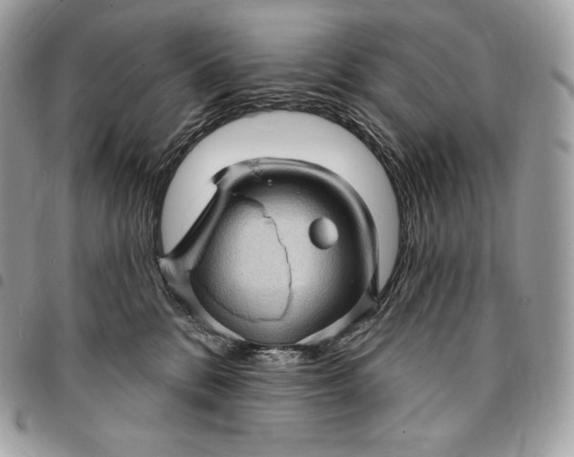 X0000095110328200712211326