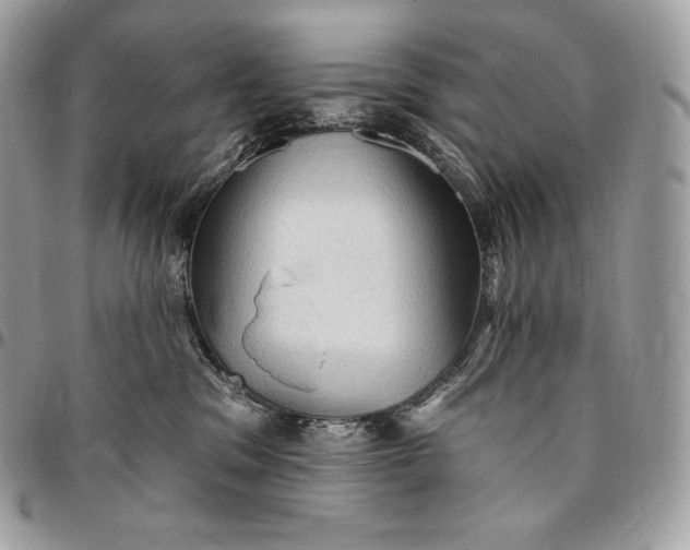 X0000095110329200712211326