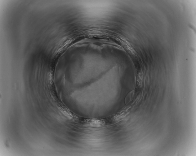 X0000095110330200712211326