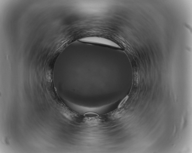 X0000095110331200712211326