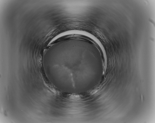 X0000095110332200712211326