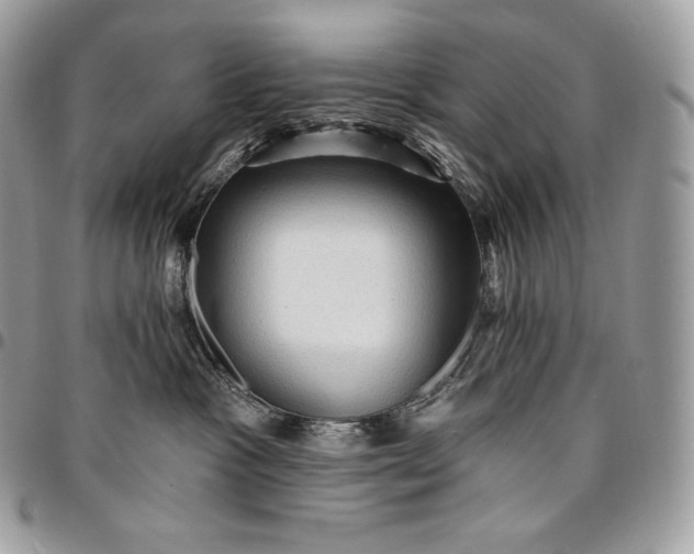 X0000095110333200712211326